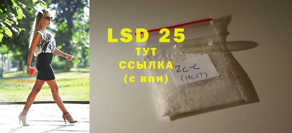 хмурый Долгопрудный