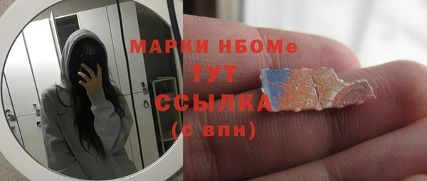 хмурый Долгопрудный