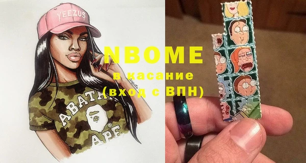 хмурый Долгопрудный