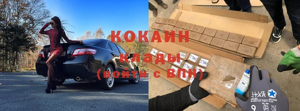 хмурый Долгопрудный