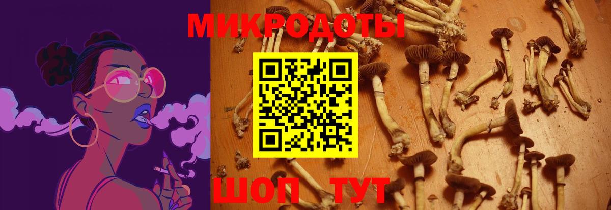 Псилоцибиновые грибы Cubensis  Каспийск 