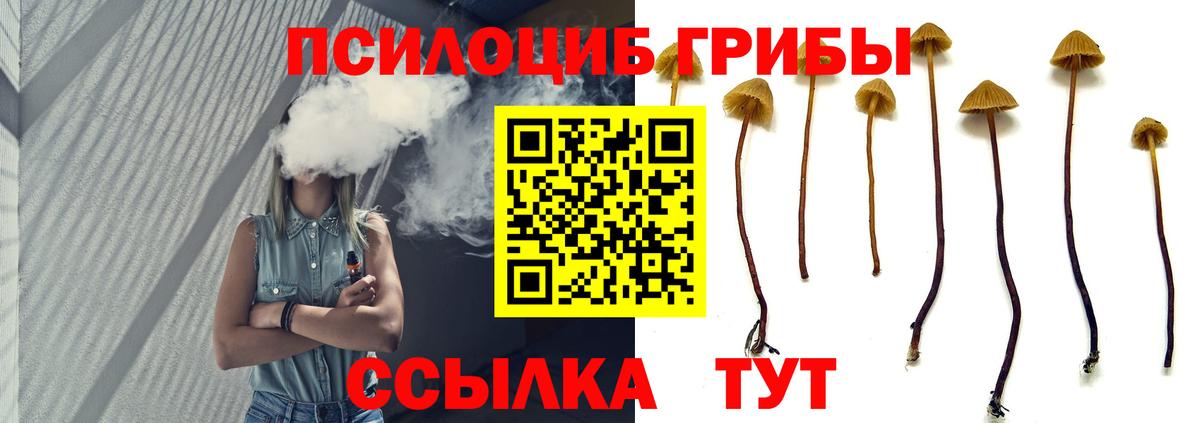 Галлюциногенные грибы Cubensis  Вход с VPN  Каспийск 